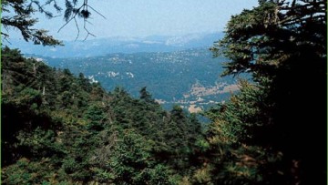 Επιστολή των διεθνών: «Πρωθυπουργέ, δεν θέλουμε πριμ, αλλά προπονητικό κέντρο»