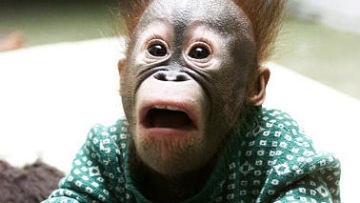 Χανιά: Αγνοείται 73χρονος Βρετανός, πρώην εκπαιδευτής του στρατού