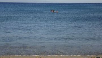 Πρωθυπουργός Κριμαίας: Τη Δεύτερα καταθέτουμε στη Μόσχα αίτηση ένωσης με τη Ρωσία