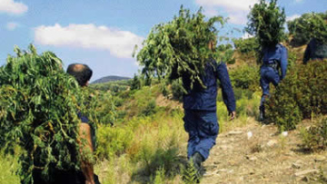 Προφυλακιστέος ο Μιχαλολιάκος - Τον «έκαψε» η απολογία Πατέλη