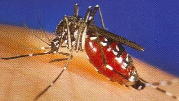 Η Miley Cyrus βγάζει ξανά τη γλώσσα της (και όχι μόνο)!