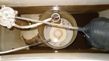 Η γιαγιά Άννα Βίσση για το νεογέννητο Καρβέλα junior