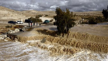 Η μητέρα του Ασάνζ συναντήθηκε με τον πρόεδρο του Ισημερινού