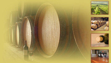 Οι παραγωγοί ροδάκινου εκπέμπουν SOS