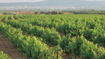 Επιδειξίας τρομοκρατεί γυναίκες στη Λάρισα