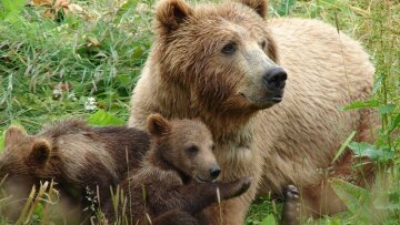 Οι έμποροι εκπέμπουν SOS για τις διακοπές ρεύματος 
