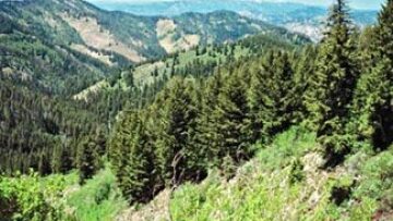 Τέσσερις τραυματίες από εκρήξεις σε σχολείο της Δαμασκού