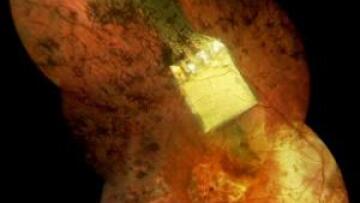 Ατλέτικο Μαδρίτης: Και βασικός ο Ντιέγκο Κόστα