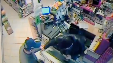 Νέο βίντεο από τη στιγμή του σεισμού σε σούπερ μάρκετ στο Ληξούρι