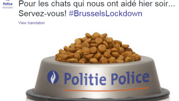 Η βελγική αστυνομία ευχαρίστησε τους πολίτες στο Twitter με... γατοκροκέτες!