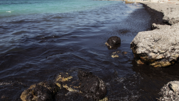 Πρόεδρος εταιρείας τοξικολογίας: Σε δύο χρόνια θα καθαρίσουν οι θάλασσες στο Σαρωνικό 