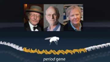 Στο «βιολογικό» ρολόι το Νόμπελ Ιατρικής για το 2017 