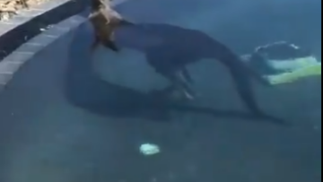 Χριστούγεννα με καύσωνα στην Αυστραλία: Θερμοκρασίες ρεκόρ 47 βαθμών Κελσίου