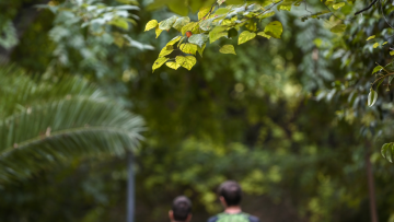 Ο καιρός σήμερα: Ανεβαίνει η θερμοκρασία - Πού θα εκδηλωθούν βροχές