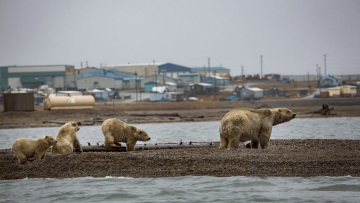 ΗΠΑ: Ρεκόρ ζέστης στην Αλάσκα το 2019