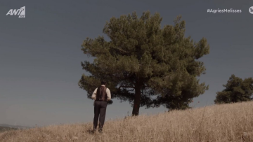 Άγριες Μέλισσες: Βούιξε το Twitter με την αυτοκτονία (;) του Μελέτη και το χαστούκι της Ανέτ στον Δούκα