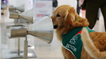 Χιλή: Τα τεστ για τον κορωνοϊό τα... έριξαν στα σκυλιά-Δείτε βίντεο