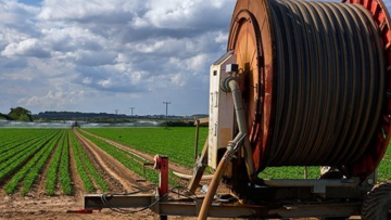 Νέοι αγρότες: Σε διαβούλευση η προδημοσίευση - 35.000 ευρώ για κάθε δικαιούχο  