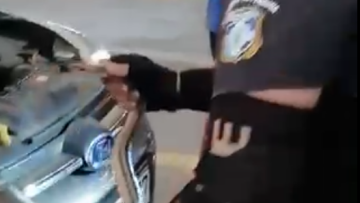 Φίδι έφερε τον τρόμο στα ΚΤΕΛ Κηφισού - Είχε τρυπώσει σε αυτοκίνητο - Δείτε βίντεο 