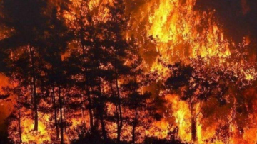 Τουρκία: Οργή κατά κυβέρνησης για τα… τρία (μόλις) πυροσβεστικά αεροσκάφη