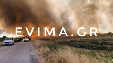 Υπό έλεγχο η φωτιά που ξέσπασε κοντά σε σπίτια στα Κριεζά Ευβοίας - Δείτε βίντεο και φωτογραφίες