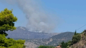 Φωτιά στη Φωκίδα: Μαίνεται το μέτωπο - Απειλούνται χωριά (βίντεο - φωτογραφίες)