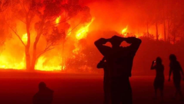 Αλγερία: Tέσσερις νεκροί και τρεις τραυματίες από τις εν εξελίξει δασικές πυρκαγιές - Δείτε βίντεο