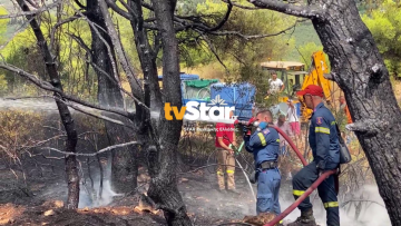 Στο στόχαστρο ο Θεολόγος - Νέα εστία φωτιάς την Πέμπτη
