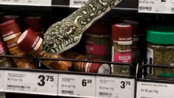 Φίδι «πετάχτηκε» μέσα από το ράφι και ξάφνιασε την πελάτισσα ενός σούπερ μάρκετ στο Σίδνεϊ - Δείτε βίντεο