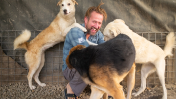 Αφγανιστάν: Πρώην πεζοναύτης μετέφερε στη Βρετανία με αεροσκάφος 173 σκύλους και γάτες