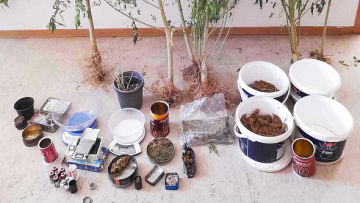 Αργολίδα: Ο σκύλος βρήκε τη φυτεία και τα δέματα με κάνναβη