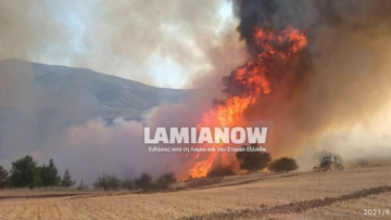 Φωτιά στην Αταλάντη - Επιχειρούν δύο αεροσκάφη