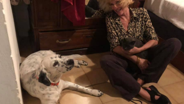 Γείτονας Ολλανδής δημοσιογράφου: «Έχει δυο σκυλιά που τα βγάζουν βόλτα Πακιστανοί υπηρέτες της»