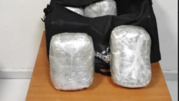 Η «Lussy» βρήκε εργαστήριο κάνναβης στην Ηγουμενίτσα