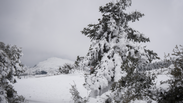 Καιρός: Βοριάδες και τσουχτερό κρύο την Τρίτη, πέφτουν τα πρώτα χιόνια στην Πάρνηθα