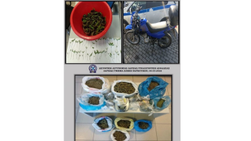 Λάρισα: Καλλιεργούσε 77 χασισόδεντρα και είχε τέσσερα κιλά κάνναβης!