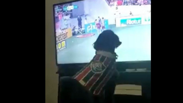 Σκύλος οπαδός της Φλουμινένσε πανηγύρισε  γκολ κόντρα στην Φλαμένγκο και έγινε viral - Δείτε βίντεο