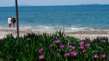 Καιρός: Έρχεται μίνι «καλοκαίρι» με υψηλές θερμοκρασίες, πού θα δούμε 32άρια