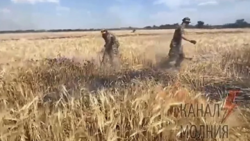 Αγωνία για την επισιτιστική κρίση - Οι Ρώσοι καίνε χωράφια με σιτηρά στην Ουκρανία