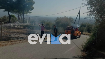 Φωτιές: Δύο πύρινα μέτωπα στην Ερέτρια 