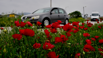 Καιρός: Πάμε για Πάσχα με ανοιξιάτικες θερμοκρασίες - Έρχεται νέα επιδείνωση από το βράδυ 