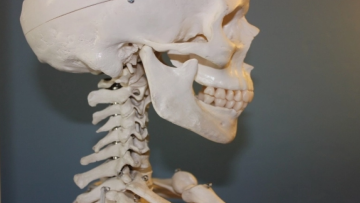 Ο «καλύτερα διατηρημένος» σκελετός του Νεάντερταλ αλλάζει όλα όσα γνωρίζουμε για την ανθρώπινη εξέλιξη