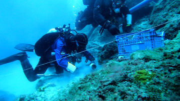 Ναυάγιο των Αντικυθήρων: Τα νέα στοιχεία που έφεραν στο φως οι έρευνες - Δείτε φωτογραφίες