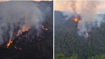 Κύπρος: Φωτιά στο κρατικό δάσος της Πάφου κοντά σε ιστορικό μοναστήρι