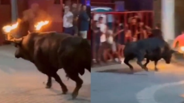 Η συγκλονιστική στιγμή που ταύρος με φωτιές στα κέρατα χτυπάει άνθρωπο που είχε απορροφηθεί στο κινητό του (vid)