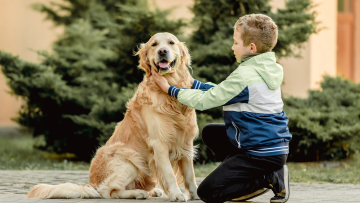 Οι οκτώ ψηφιακές υπηρεσίες στο pet.gov.gr για τα ζώα συντροφιάς