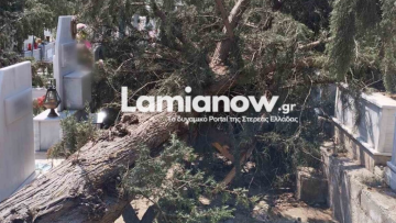 Κακοκαιρία στη Λαμία: Δέντρα ξεριζώθηκαν και έσπασαν μνήματα - Βίντεο και φωτογραφίες