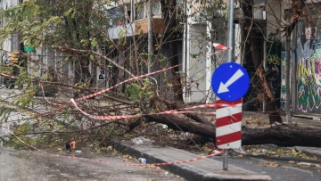 Κακοκαιρία Bora: 24 ώρες χωρίς ρεύμα κάποια σπίτια στην Θεσσαλονίκη - Πάνω από 1.000 κοπές δέντρων στην Κεντρική Μακεδονία