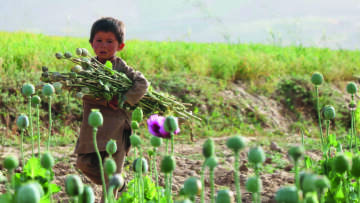 Αφγανιστάν: Οι Αμερικανοί «βομβάρδισαν» τη χώρα με δισεκατομμύρια σπόρους παπαρούνας για να πλήξουν το εμπόριο ηρωίνης