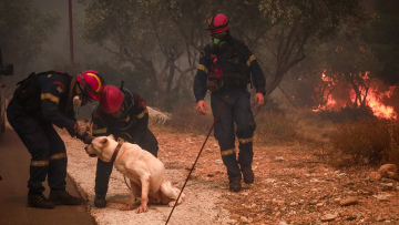 Φωτιά στον Βαρνάβα: Σε ετοιμότητα χώροι για τα ζώα που είναι σε κίνδυνο